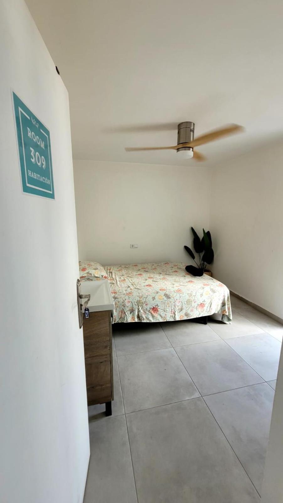 Cisne By Nest Hostel 聖安東尼奧 外观 照片