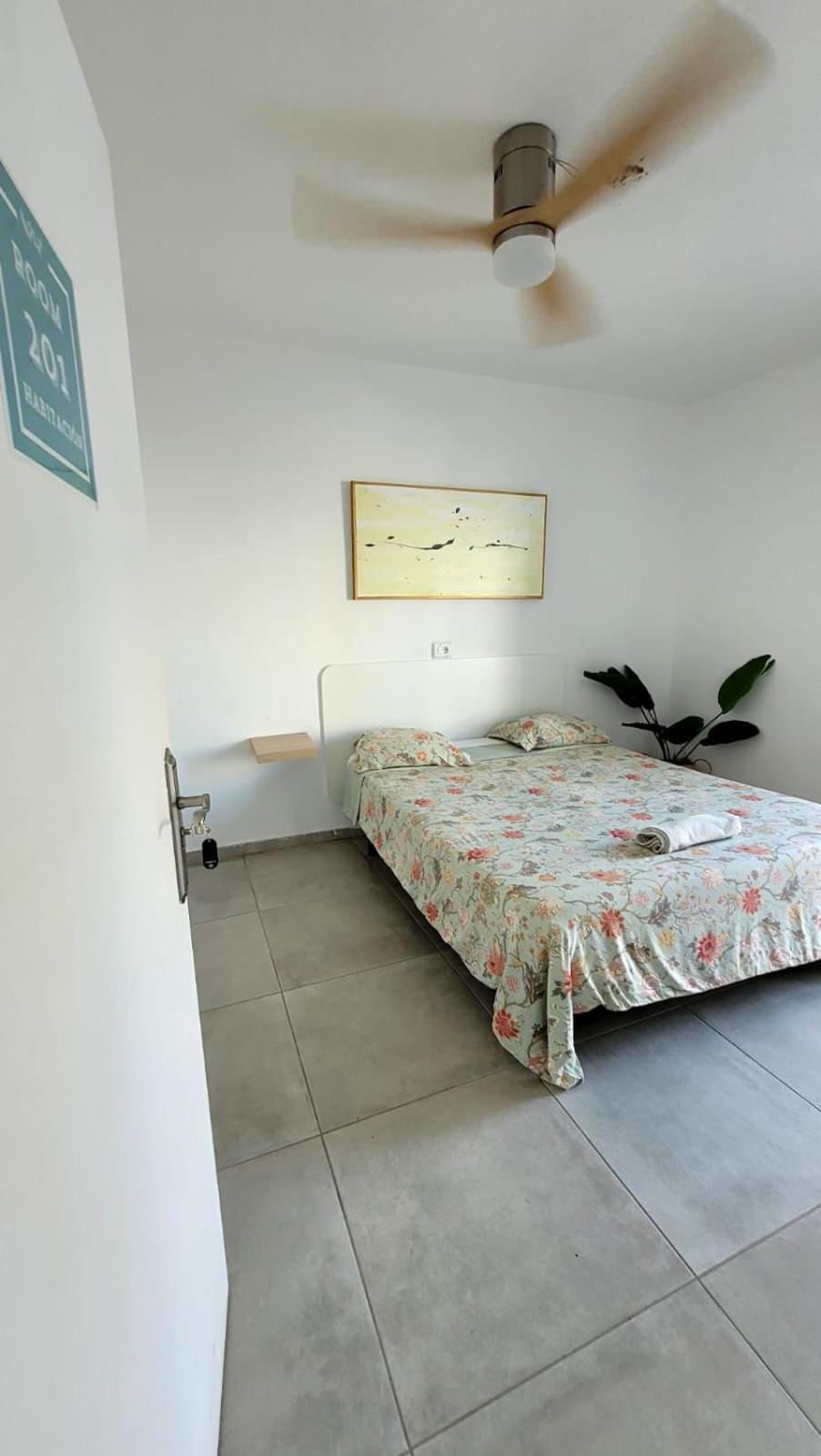 Cisne By Nest Hostel 聖安東尼奧 外观 照片