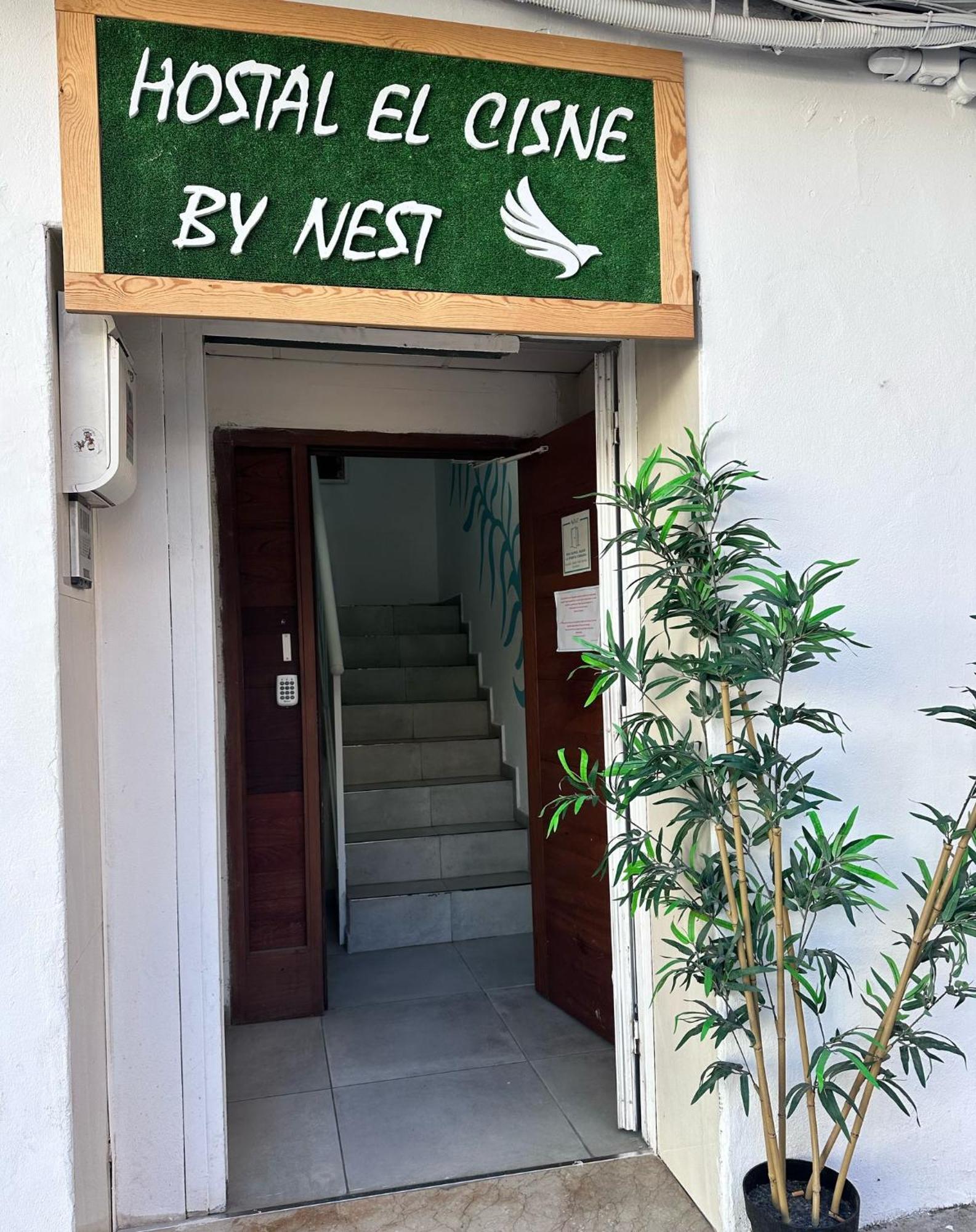Cisne By Nest Hostel 聖安東尼奧 外观 照片